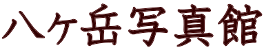 xʐ^